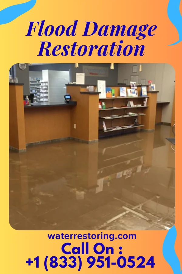 Flood Damage Restoration in Klondike, MD