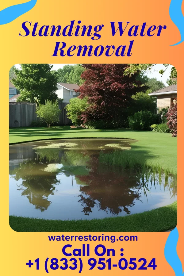 Standing Water Removal in Klondike, MD